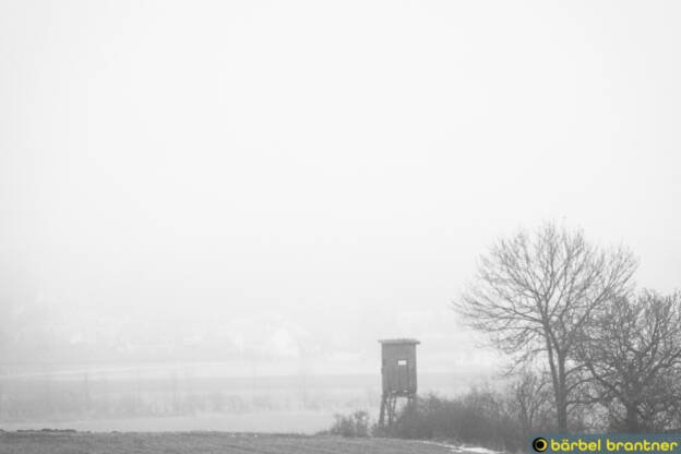 Im Nebel