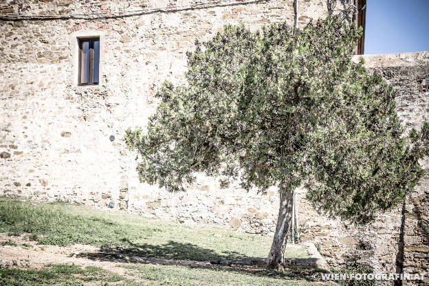 Vor den Mauern von Populonia