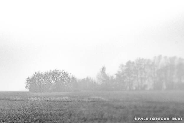 Manches wird sichtbarer, wenn der Nebel vieles verschluckt