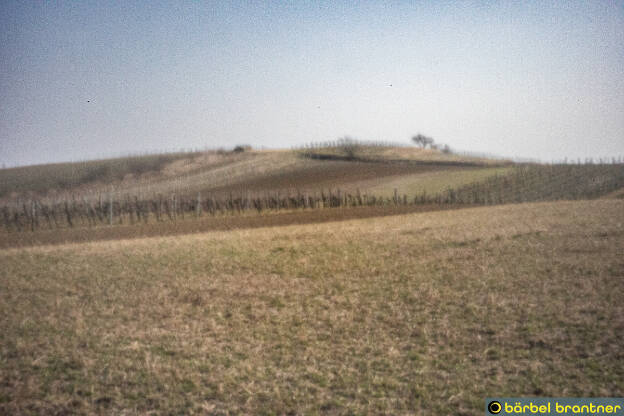 Blick über brache Felder im Vorfrühling