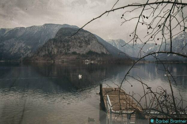 Hallstätter See wundeschön mit Schwan.