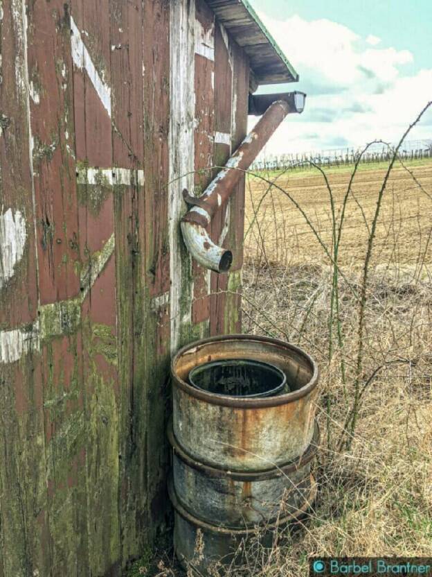 Frühling im Weinviertel