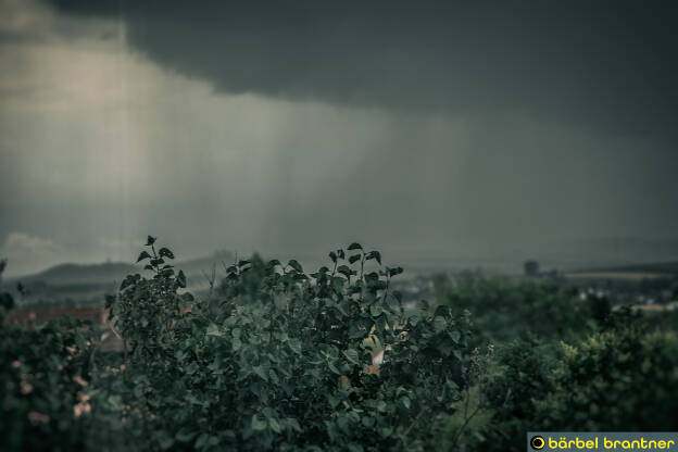 Das Gewitter geht los, die Regenwand nähert sich.