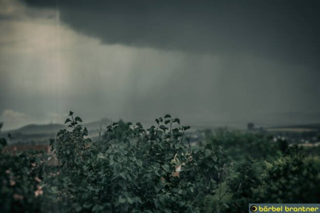 Das Gewitter geht los, die Regenwand nähert sich.