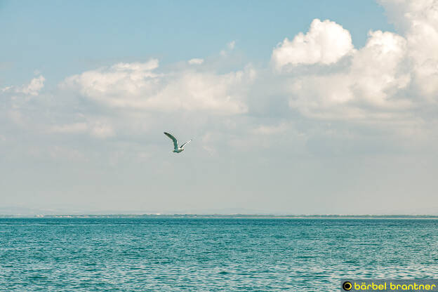 Porto Santo Stefano (Lagune von Orbetello)