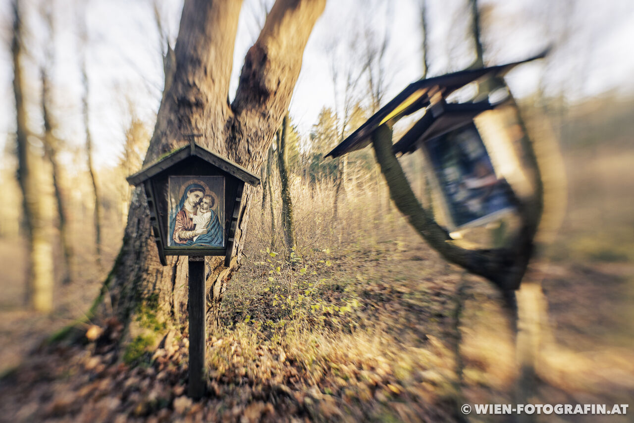 Ein Marterl im Wald