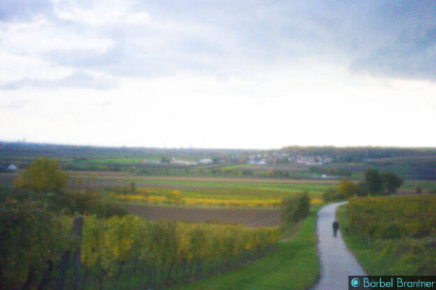 Herbstspaziergang