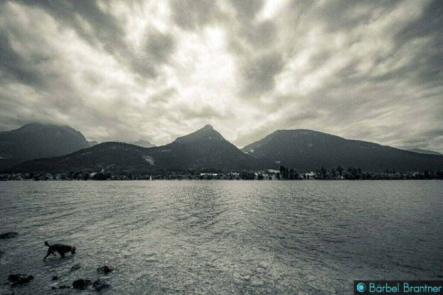 Wolfgangsee mit Hund