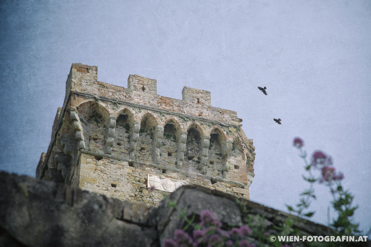 Ausflug nach Vicopisano mit Besuch der Rocca del Brunelleschi