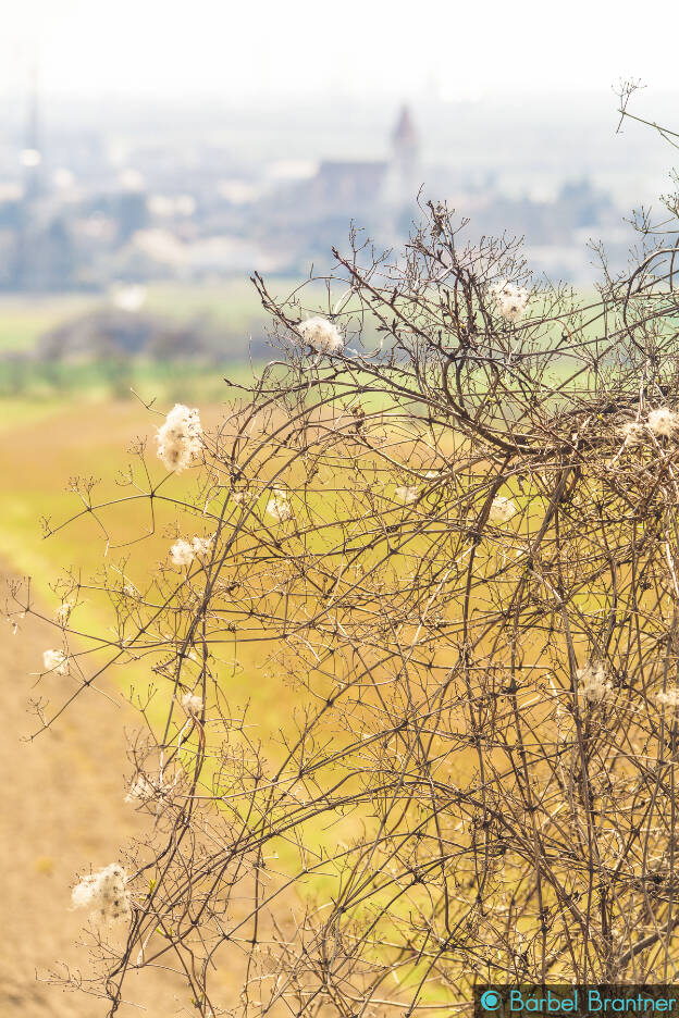 Ausblick