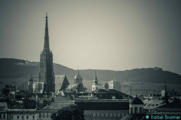 Blick auf Cobenzl, Stephansdom und Kahlenberg vom Belvedere