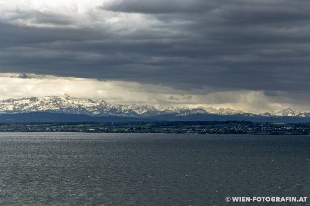 Bodensee bei Meersburg